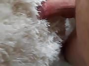 Shag carpet shag