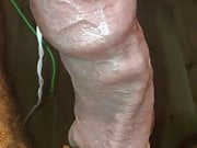 My cock loving electro on the glans and throbbing away